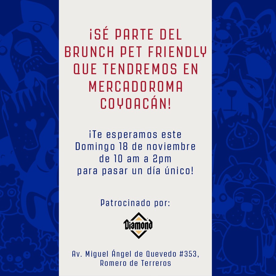 brunche-pet-friendly-mercado-roma-coyoacanbrunche-pet-friendly-mercado-roma-coyoacan