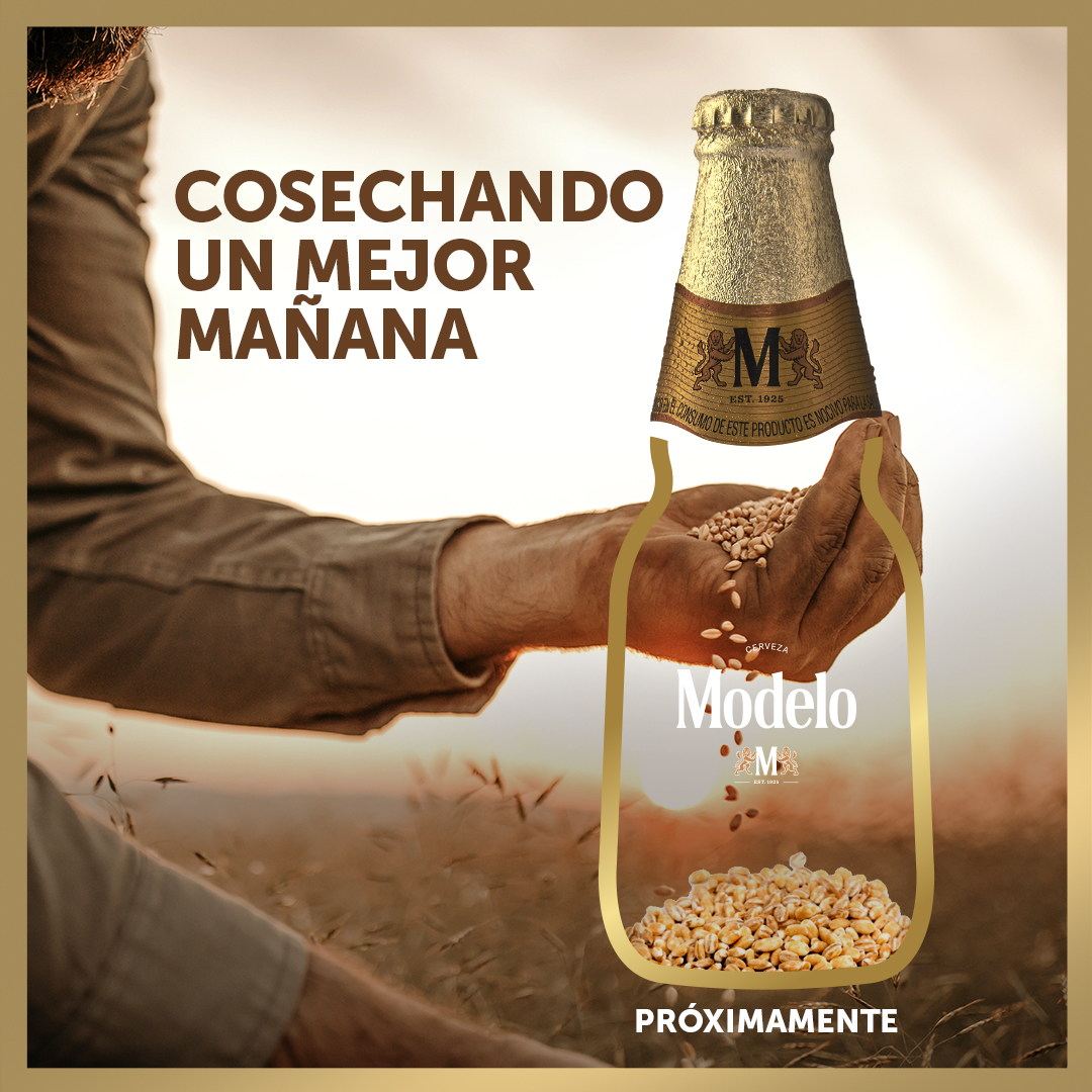 Cerveza Modela elaborará edición espacial con la cebada comprada durante la  contingencia en apoyo a los agricultores - Godinez Gourmet