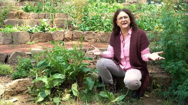 Sonia Ortiz ofrece una guía rápida para aprovechar la huerta casera -  Godinez Gourmet